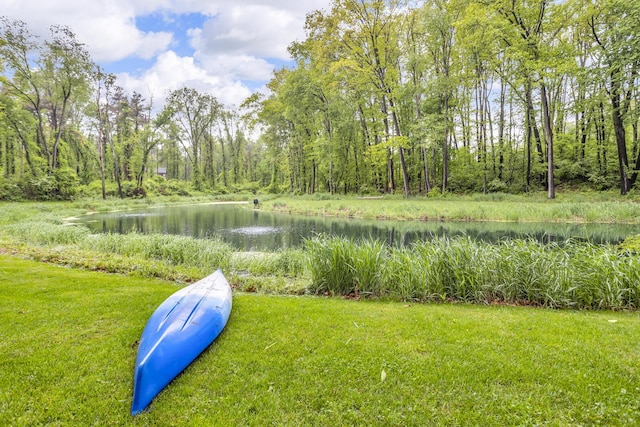 5340 Squires Manor Rd, Jackson, MI 49201 - view of grassy yard with a water view and a wooded view