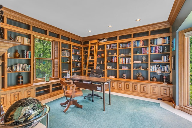 5340 Squires Manor Rd, Jackson, MI 49201 - office space featuring carpet floors, crown molding, and recessed lighting
