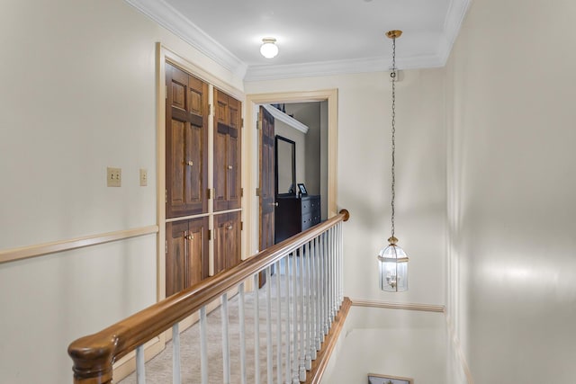 5340 Squires Manor Rd, Jackson, MI 49201 - hallway with ornamental molding
