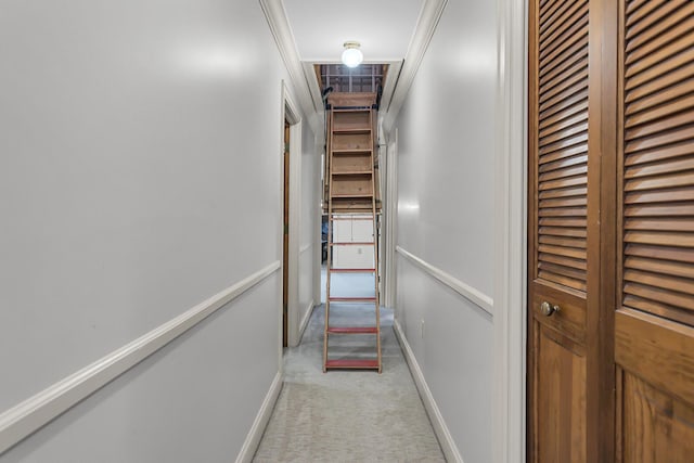 5340 Squires Manor Rd, Jackson, MI 49201 - hallway with light colored carpet and baseboards