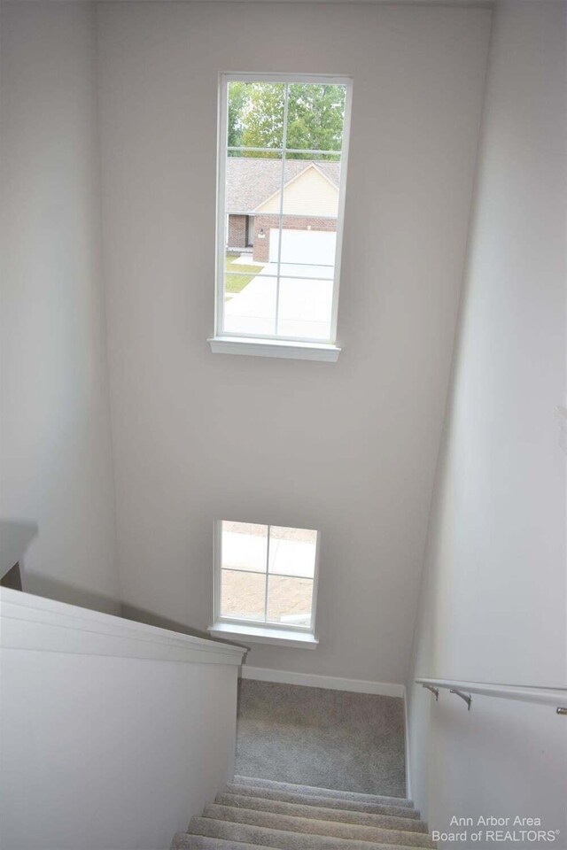 717 Jefferson Ln, Milan, MI 48160 - photo 23