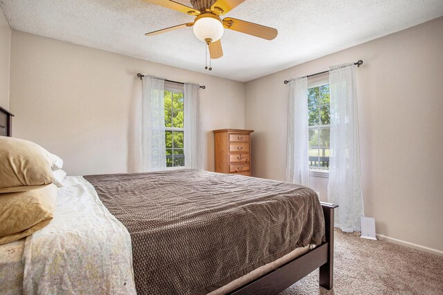 1134 Oak Grove Park, Union City, MI 49094 - photo 23