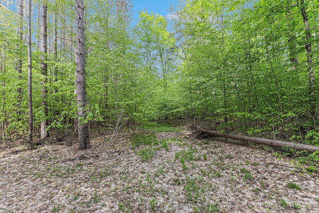 V/L E 8 Mile Rd, Luther, MI 49656