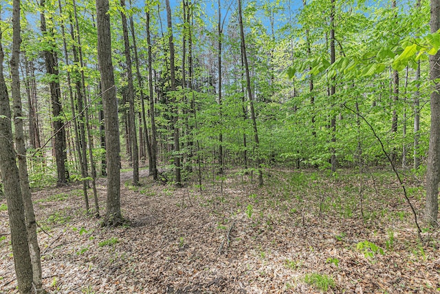 V/L E 8 Mile Rd, Luther, MI 49656