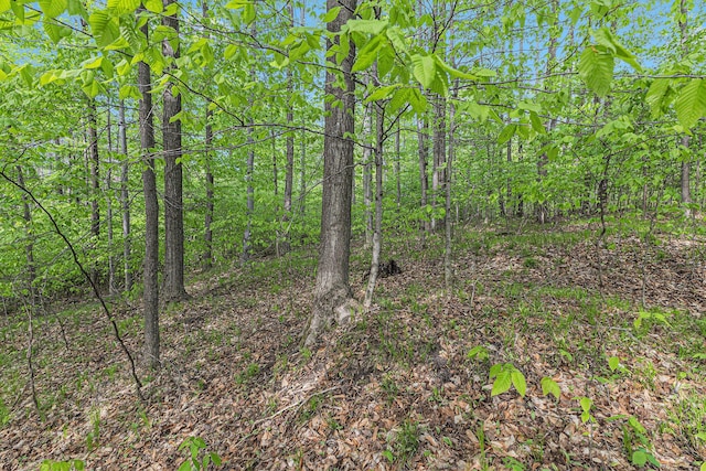 V/L E 8 Mile Rd, Luther, MI 49656