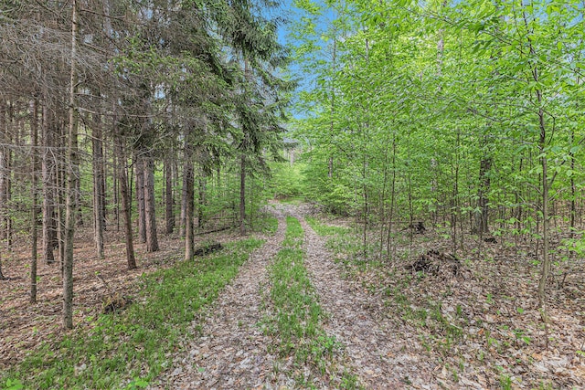 V/L E 8 Mile Rd, Luther, MI 49656