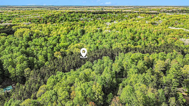 V/L E 8 Mile Rd, Luther, MI 49656