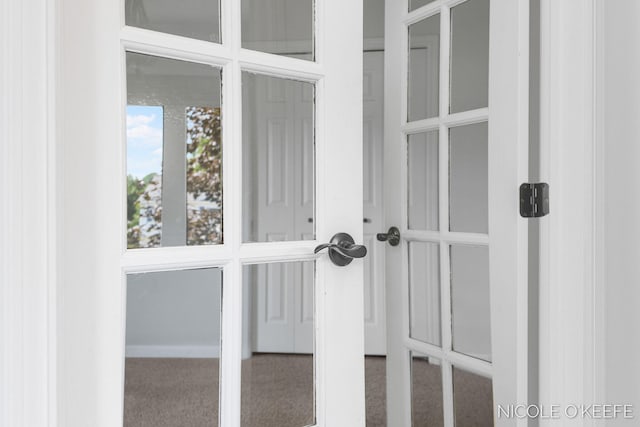 7745 Worthing Ct SW, Byron Center, MI 49315 - detailed view of carpet flooring