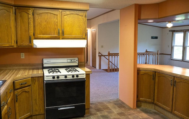 6340 Warren Woods Rd, Three Oaks, MI 49128 - kitchen with gas range oven, brown cabinets, exhaust hood, and dark carpet
