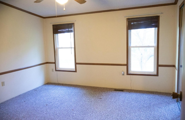 6340 Warren Woods Rd, Three Oaks, MI 49128 - carpeted spare room featuring healthy amount of natural light, a ceiling fan, and ornamental molding