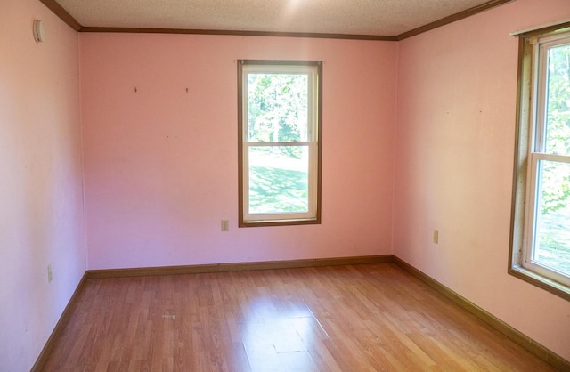 6340 Warren Woods Rd, Three Oaks, MI 49128 - unfurnished room featuring light wood-type flooring, plenty of natural light, crown molding, a textured ceiling, and baseboards