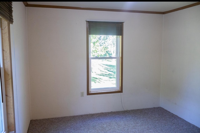6340 Warren Woods Rd, Three Oaks, MI 49128 - carpeted spare room with plenty of natural light and crown molding