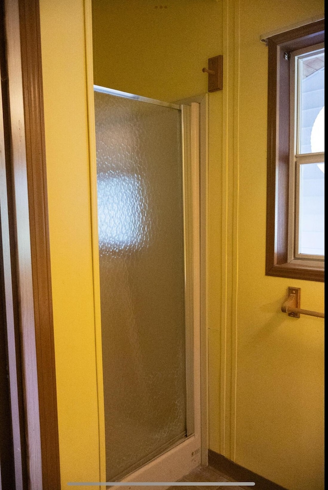 6340 Warren Woods Rd, Three Oaks, MI 49128 - bathroom featuring a shower stall