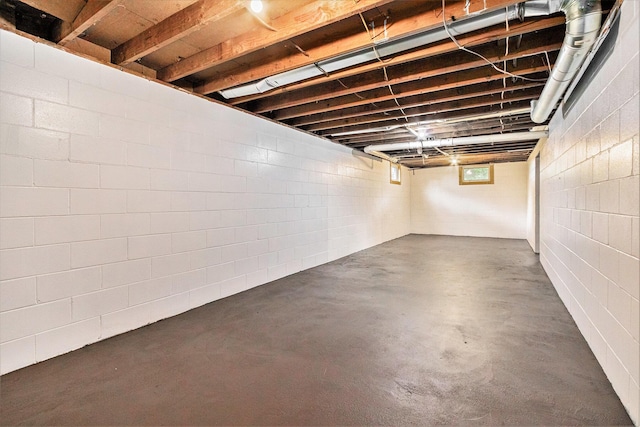 70025 Union Rd, Union, MI 49130 - below grade area with concrete block wall