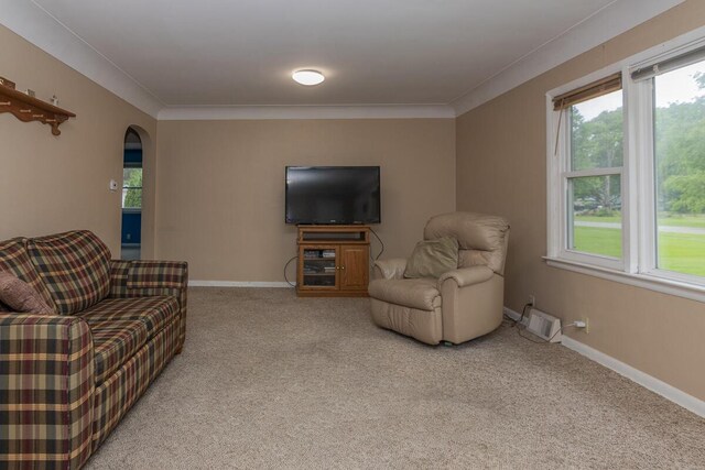 455 N Centre St, Schoolcraft, MI 49087 - living area featuring light carpet, baseboards, arched walkways, and ornamental molding