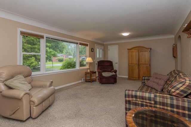 455 N Centre St, Schoolcraft, MI 49087 - carpeted living area with baseboards and crown molding