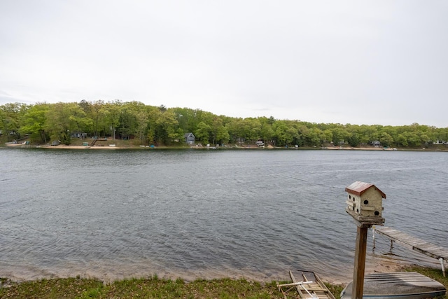 10138 S Lakeside Ridge Rd, Baldwin, MI 49304 - photo 13