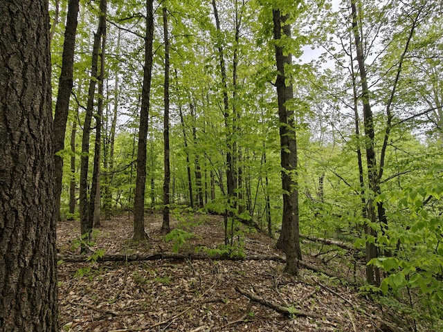 610 W Millerton Rd, Scottville, MI 49454