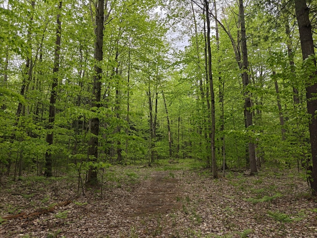 610 W Millerton Rd, Scottville, MI 49454