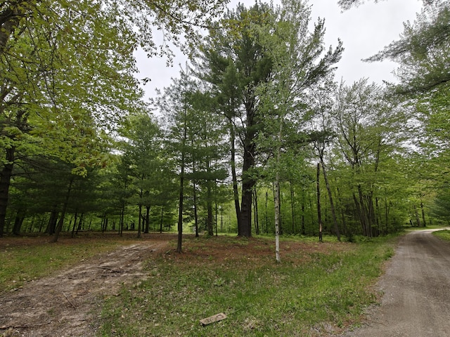 610 W Millerton Rd, Scottville, MI 49454
