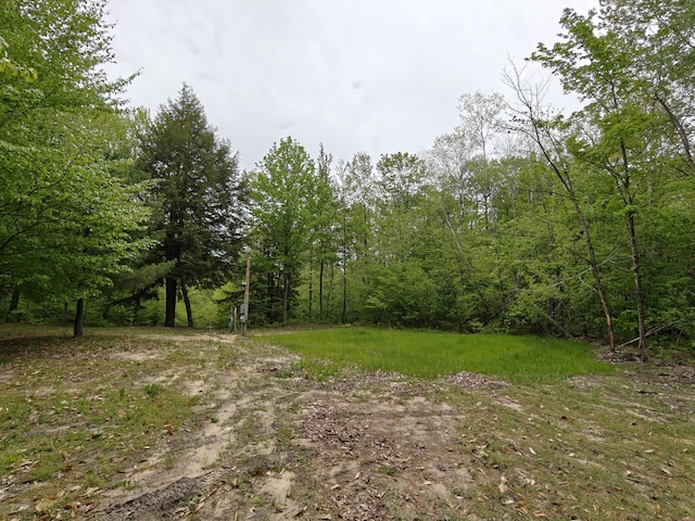 610 W Millerton Rd, Scottville, MI 49454