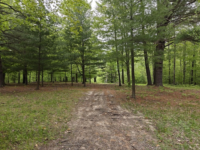610 W Millerton Rd, Scottville, MI 49454