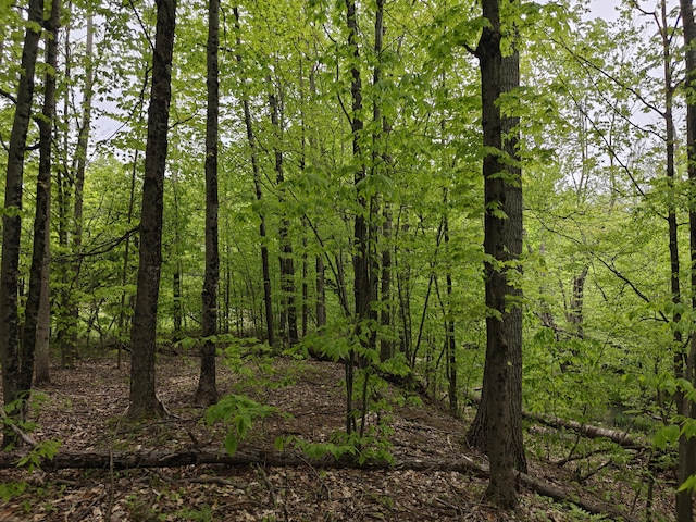 610 W Millerton Rd, Scottville, MI 49454