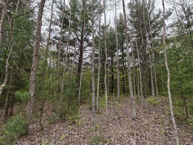 610 W Millerton Rd, Scottville, MI 49454