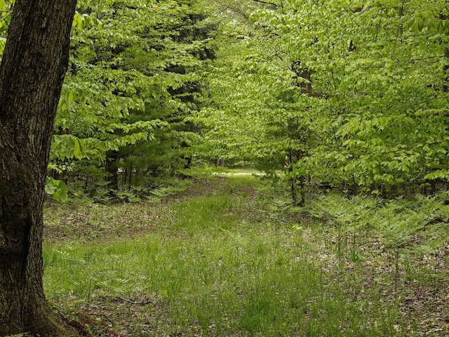 610 W Millerton Rd, Scottville, MI 49454