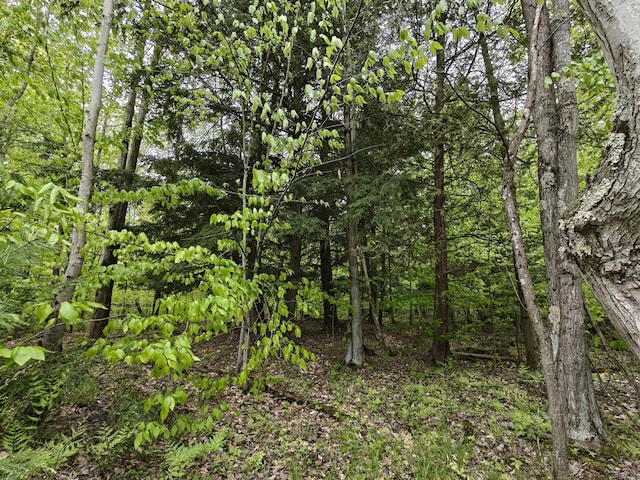 610 W Millerton Rd, Scottville, MI 49454