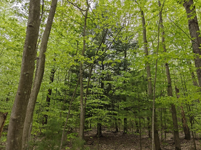 610 W Millerton Rd, Scottville, MI 49454