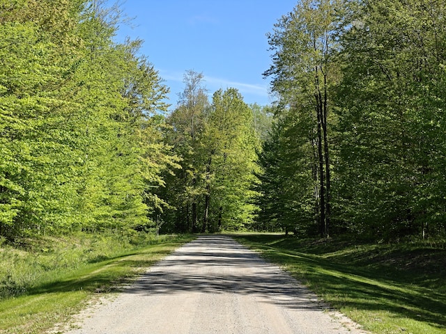 610 W Millerton Rd, Scottville, MI 49454