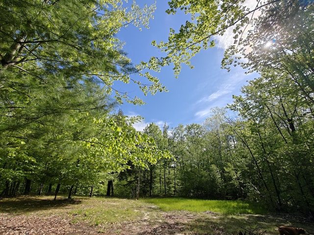 610 W Millerton Rd, Scottville, MI 49454