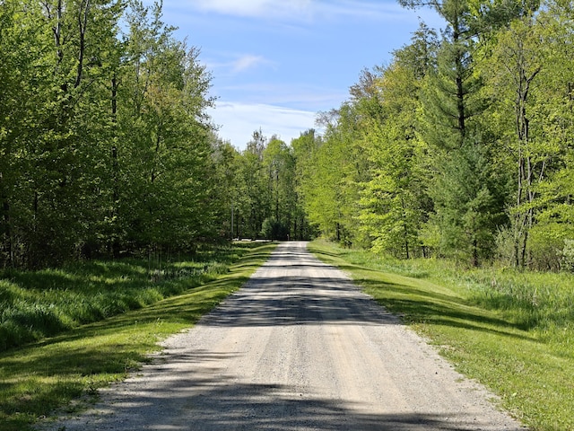 610 W Millerton Rd, Scottville, MI 49454