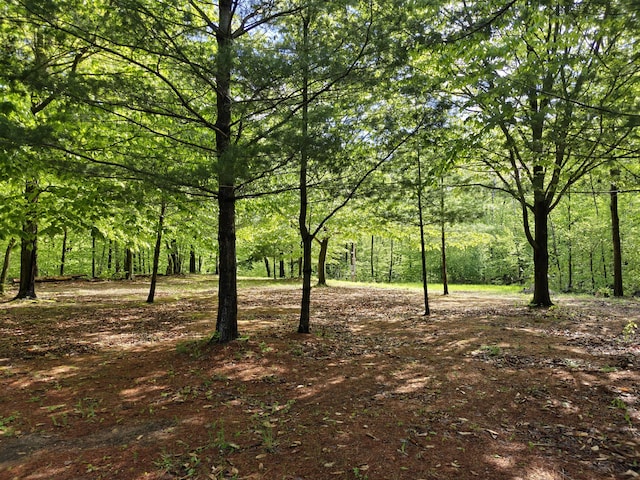 610 W Millerton Rd, Scottville, MI 49454