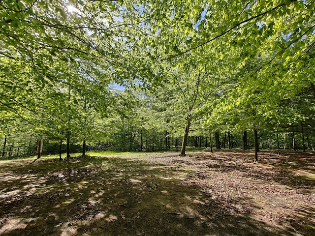 610 W Millerton Rd, Scottville, MI 49454