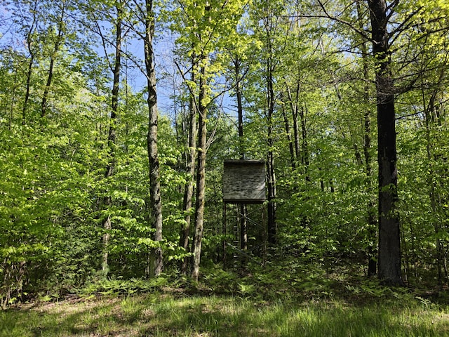 610 W Millerton Rd, Scottville, MI 49454