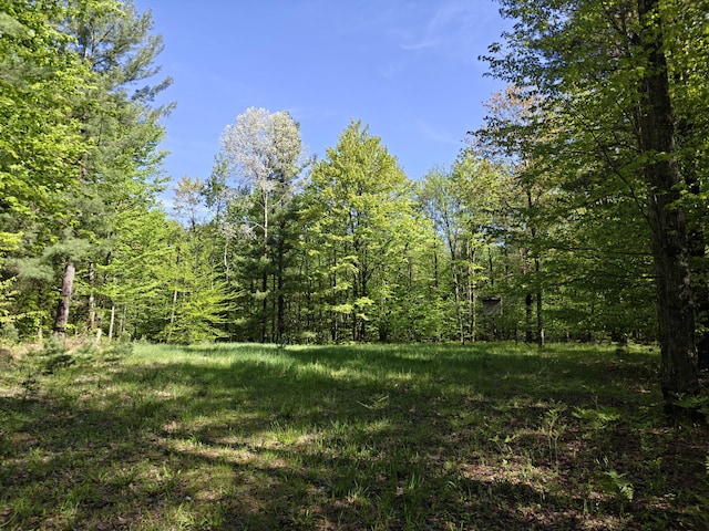610 W Millerton Rd, Scottville, MI 49454