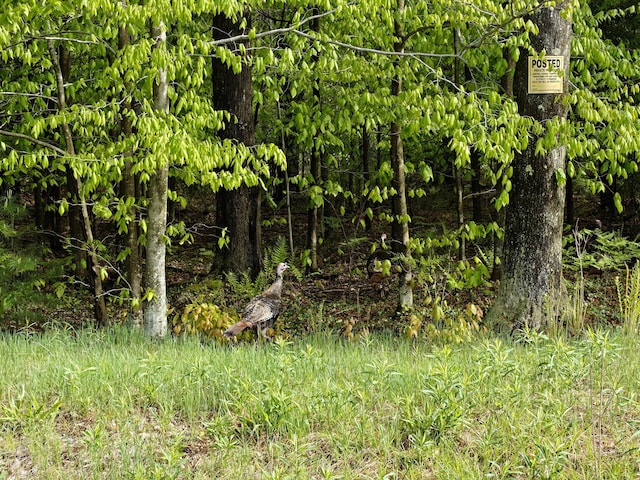610 W Millerton Rd, Scottville, MI 49454
