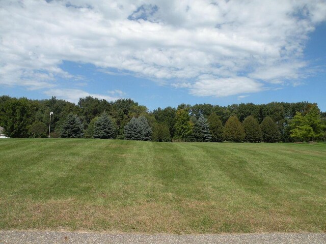 7277 Weathersfield Ct NE, Ada, MI 49301