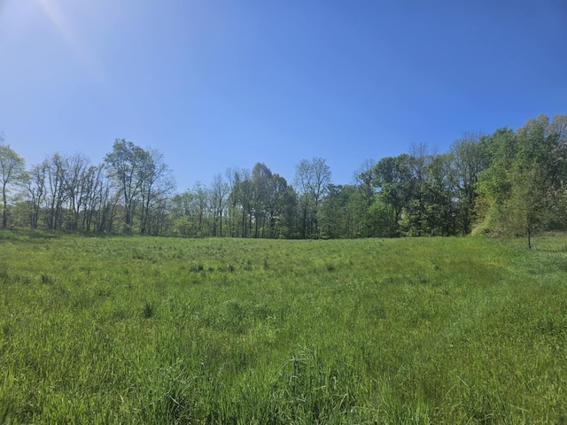 Jones Rd, Bellevue, MI 49021