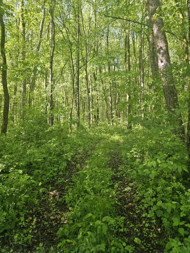 Jones Rd, Bellevue, MI 49021