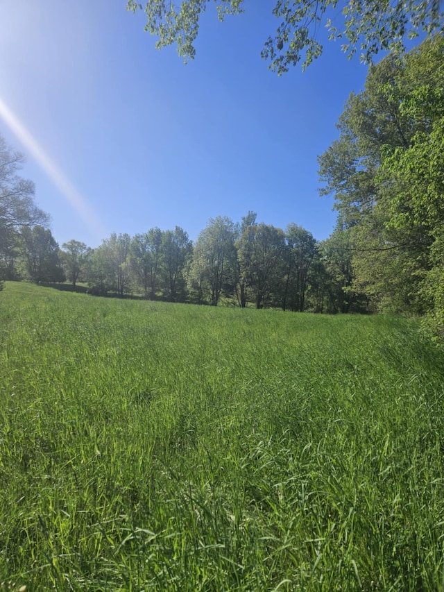 Jones Rd, Bellevue, MI 49021