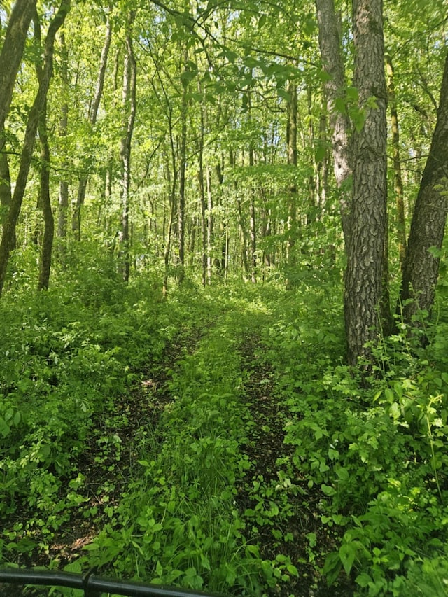 Jones Rd, Bellevue, MI 49021