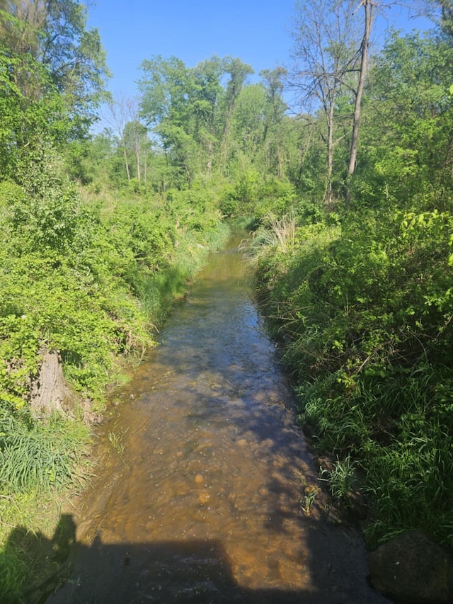 Jones Rd, Bellevue, MI 49021
