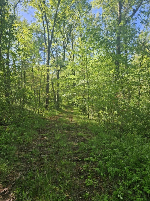 Jones Rd, Bellevue, MI 49021