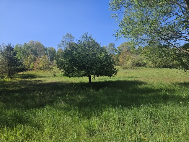 Jones Rd, Bellevue, MI 49021