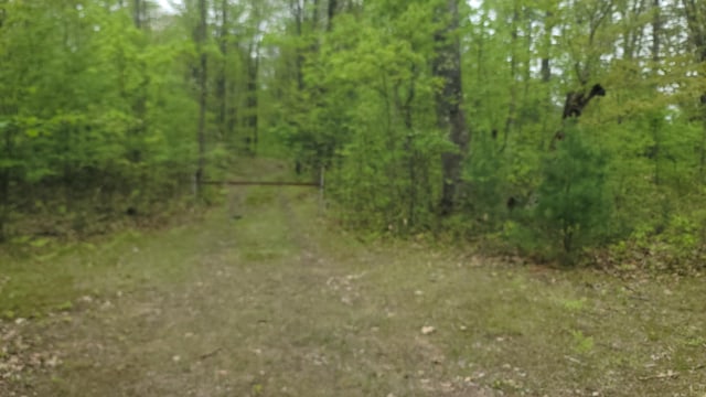 0000 Cassiday Rd, Gladwin, MI 48624