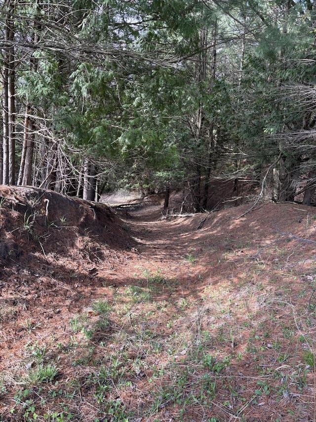 884 N Gavord Rd, Sterling, MI 48659 - view of nature