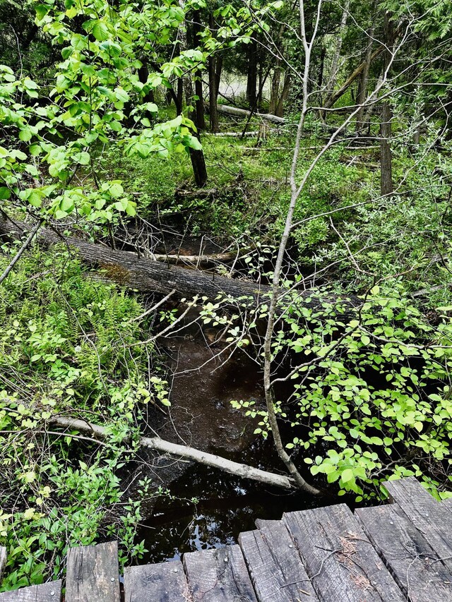884 N Gavord Rd, Sterling, MI 48659 - view of nature